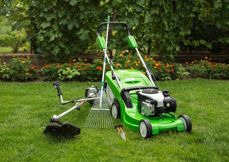 Lawn Edging Service