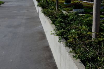 Concrete Curbing Vs. Plastic Or Metal Landscape Edging