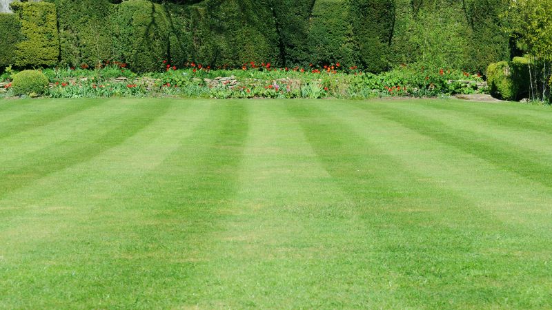 Spring Lawn Edging